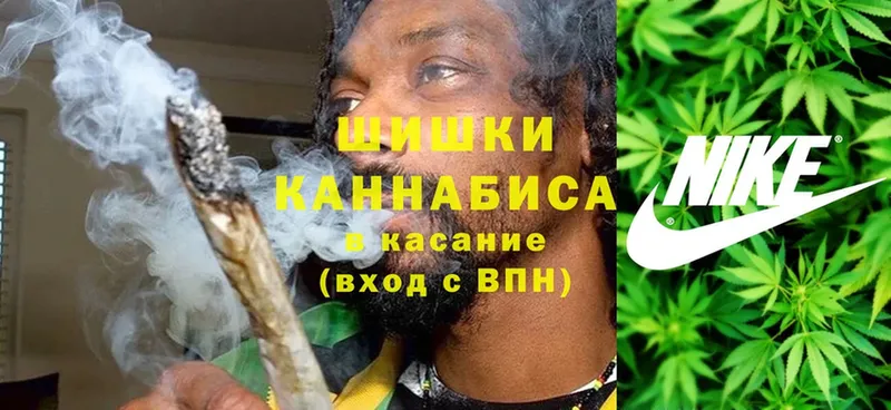 shop Telegram  Бийск  Каннабис SATIVA & INDICA 